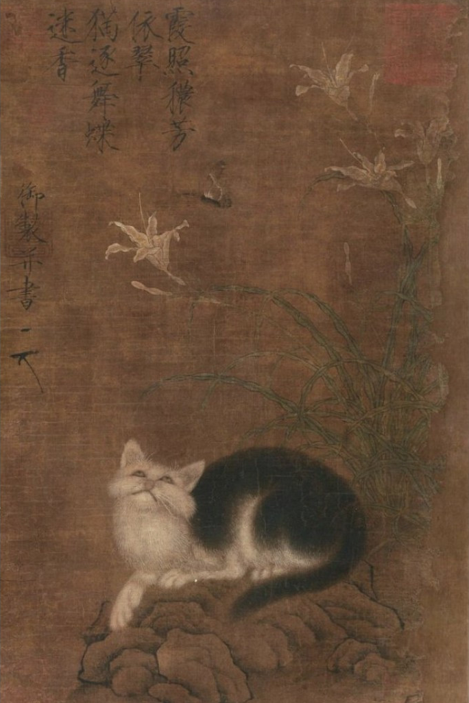 猫蝶1